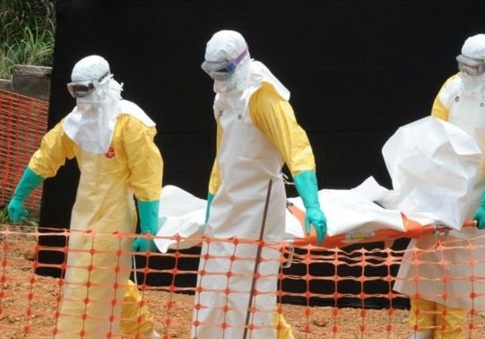 Ученые: в конце октября Эбола доберется до России