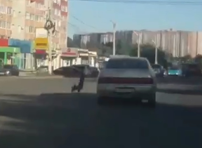 Видео: в Рязани из движущегося автомобиля «выпадает» собака