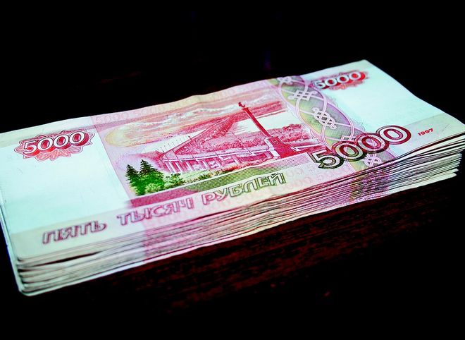 Рязанская бизнеследи выплатила государству более 900 тыс. рублей