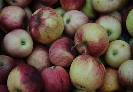 В Рязани подешевели гречка и яблоки