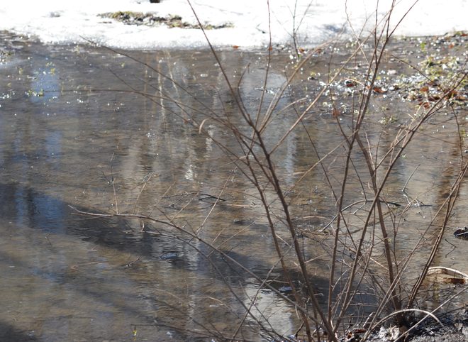 14 февраля в Рязанской области был побит температурный рекорд