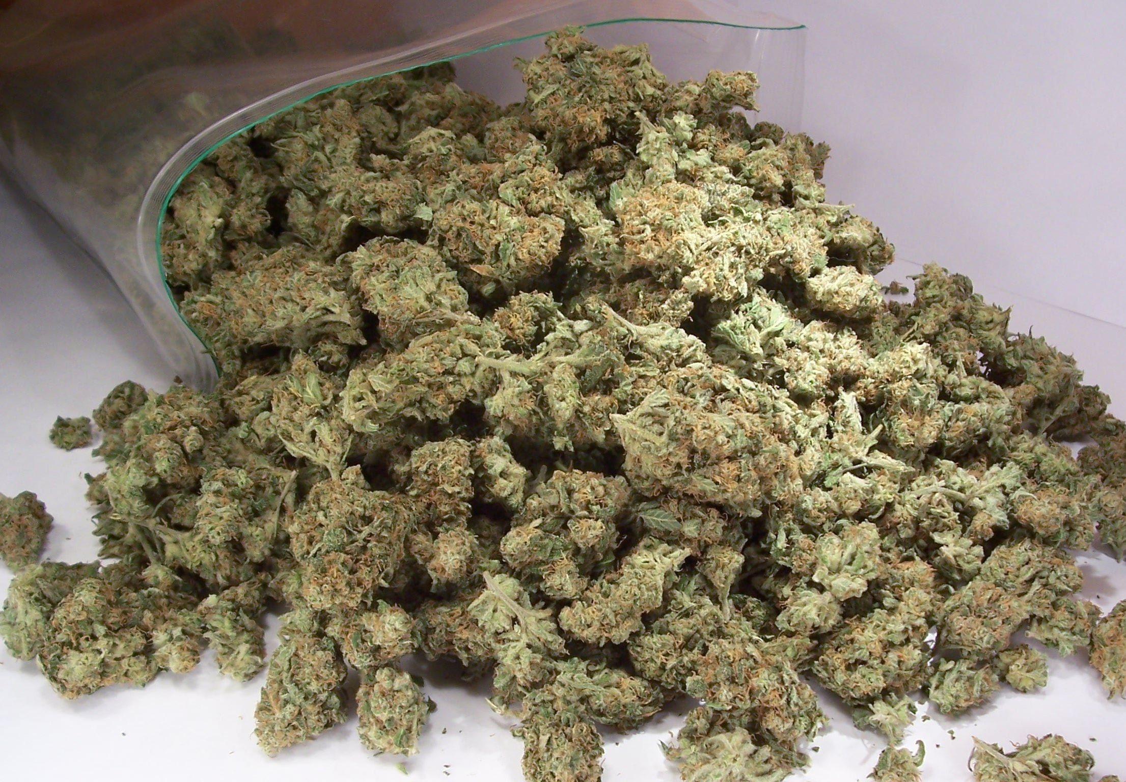 У жителя рязанского села обнаружили 2,5 кг марихуаны