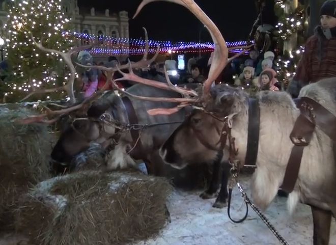Рязанские журналисты сняли сюжет о параде Дедов Морозов