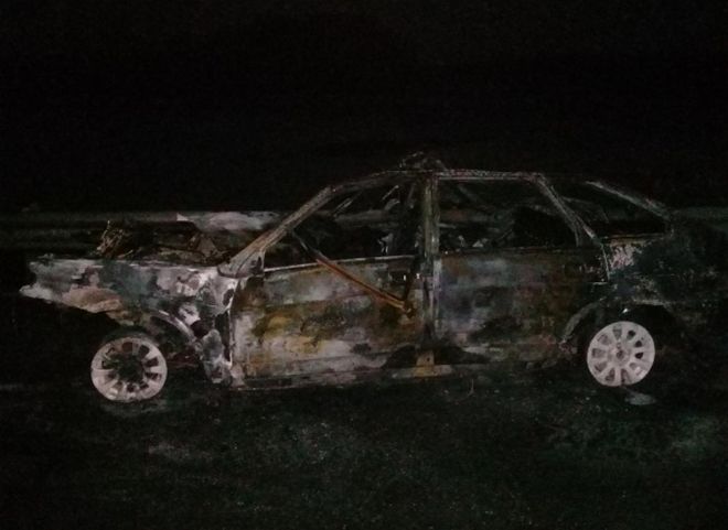 В Скопинском районе после ДТП загорелся ВАЗ-2114, водитель погиб на месте
