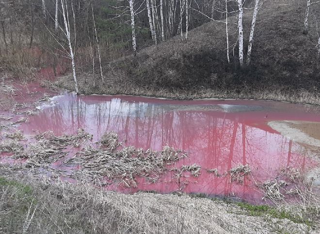 В Рязани река окрасилась в розовый цвет