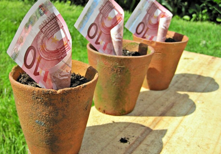 Курс евро превысил 50 рублей впервые за две недели