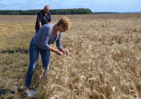 Рязанские аграрии на 20-м месте в РФ по «относительному доходу»
