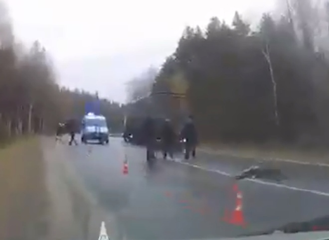 Рязанская полиция ищет очевидцев смертельного наезда в Клепиковском районе