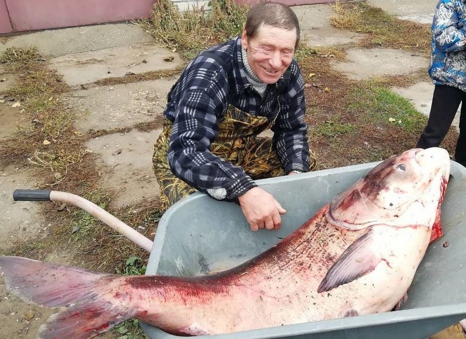 Рязанец поймал в Оке рыбу весом 49 кг