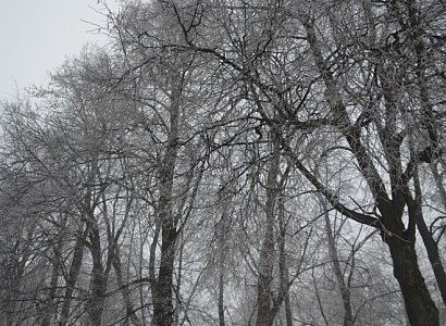 В Рязанской области похолодает до -8 °C