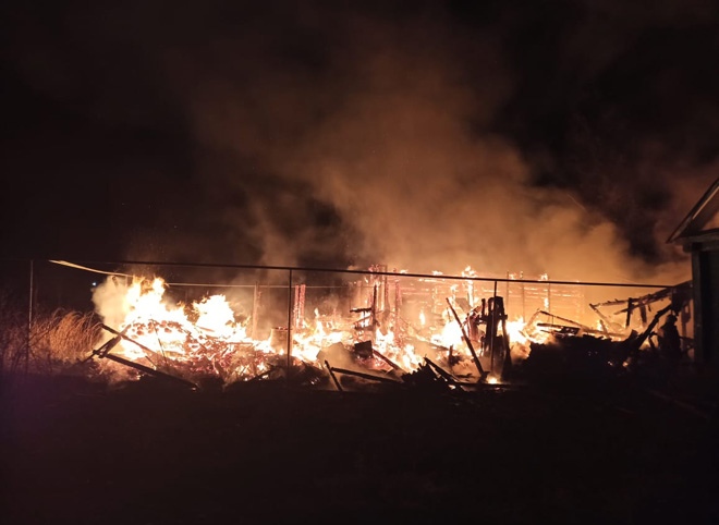 Трое детей и четверо взрослых погибли при пожаре под Пензой