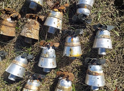 Полицейские предположили, откуда взялись боеприпасы вблизи чучковского села