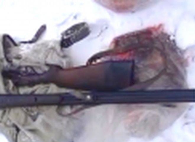 Задержаны браконьеры, убившие косулю в Шиловском районе   