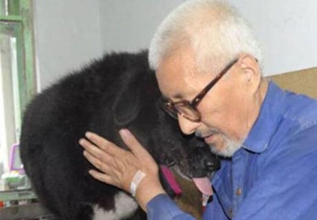 Одинокий китаец завещал все свои сбережения собаке