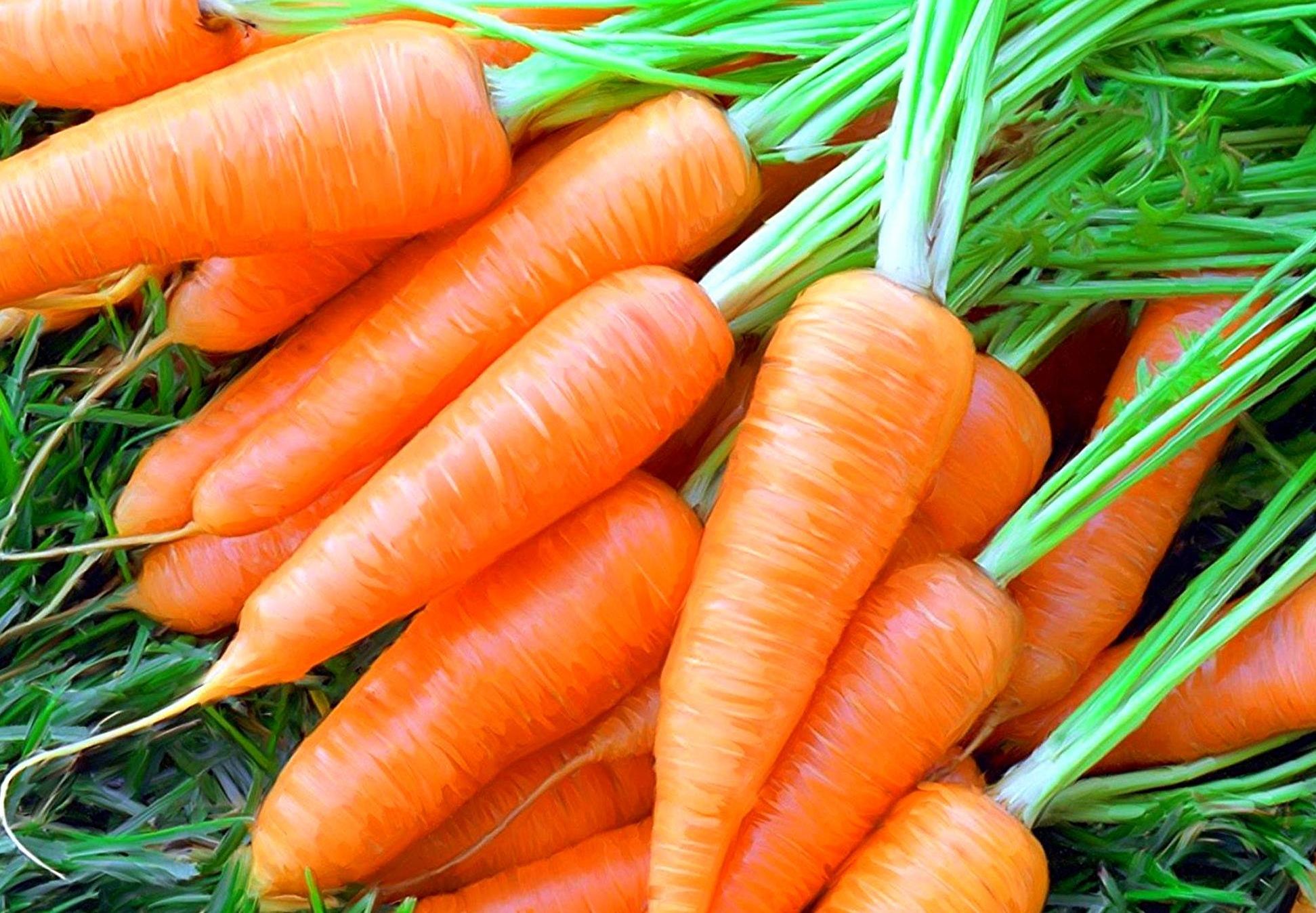 На прошедшей неделе в Рязани резко подорожала морковь