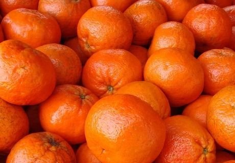 В Рязани сожгли 8 кг санкционных мандаринов