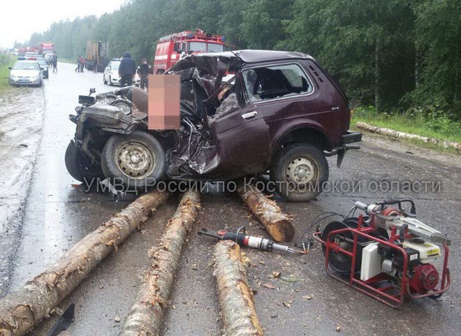 В Костромской области упавшие с лесовоза бревна раздавили двух человек