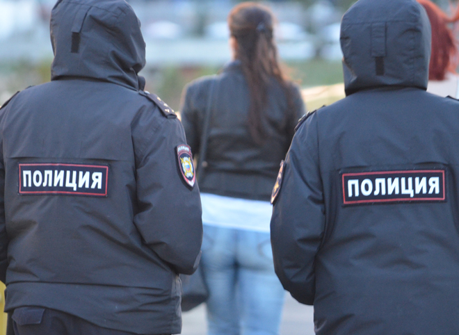 Рязанские полицейские задержали серийных преступников