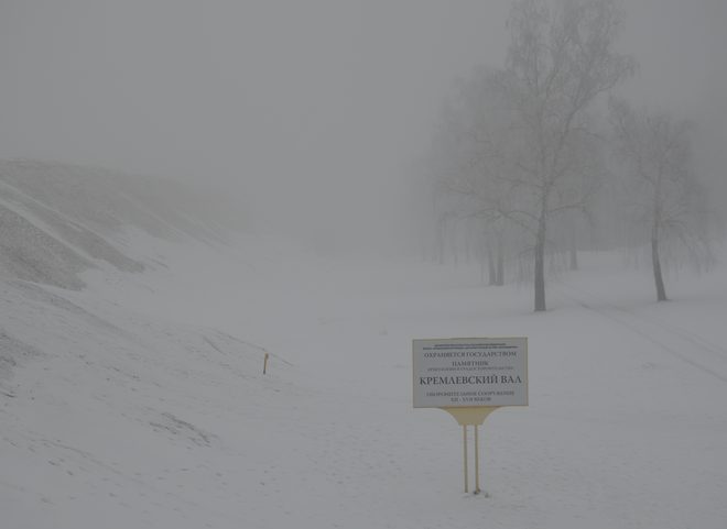 МЧС: в ближайший час Рязанскую область накроет туман