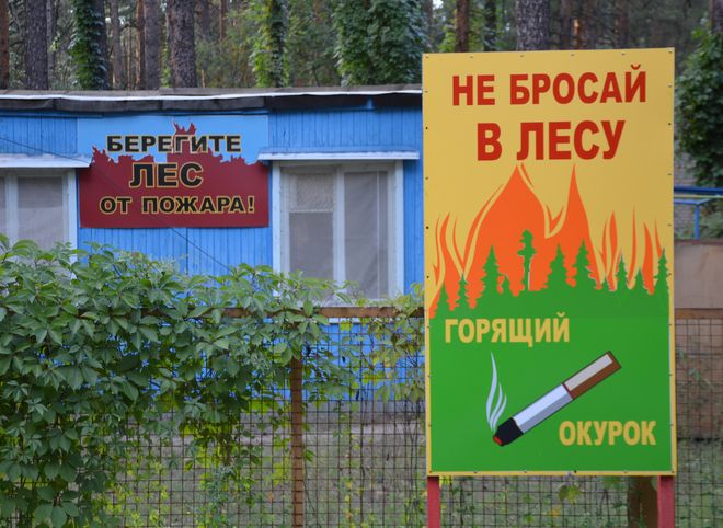 Любимов установил в Рязанской области особый противопожарный режим