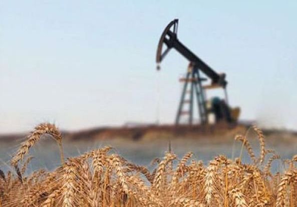 РФ начала поставки зерна в Иран в обмен на нефть