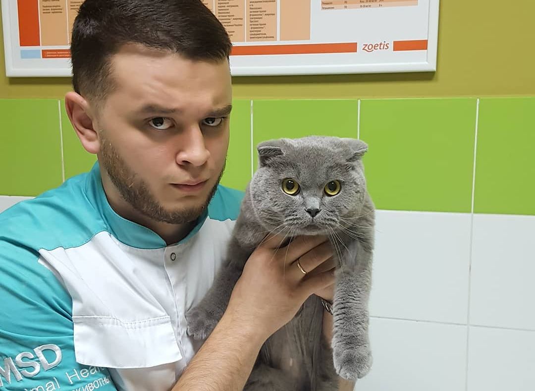 В Челябинске ветеринар три года спасал животных, принесенных на усыпление