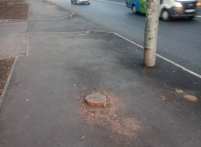 На улице Гагарина посреди отремонтированного тротуара оставили пень