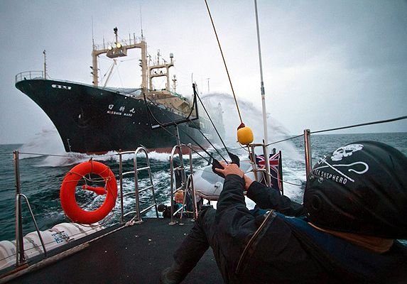 Пограничники задержали в Охотском море японское судно
