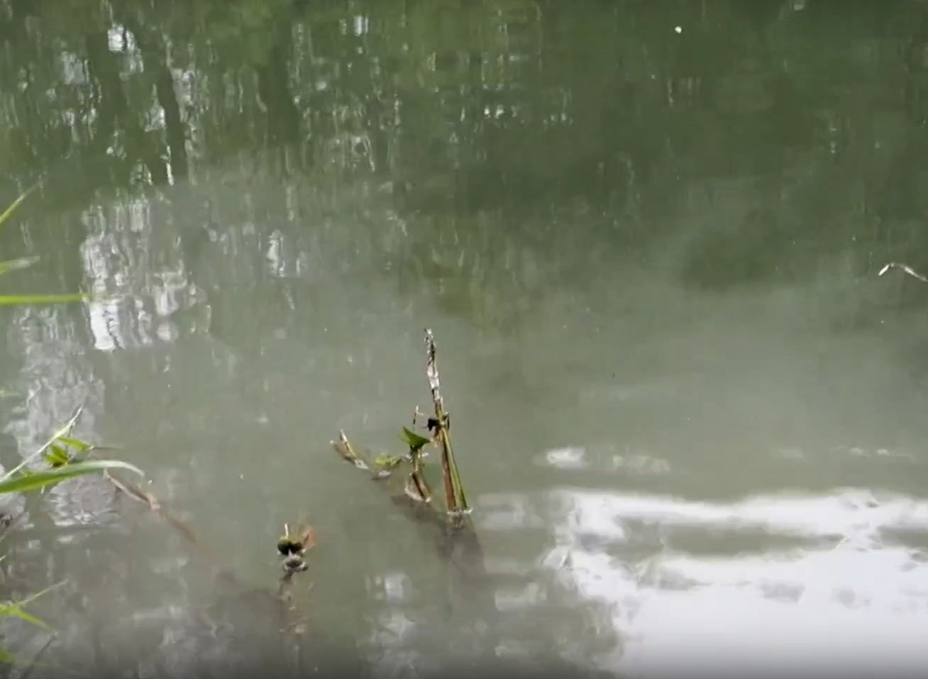 В Ряжске в реку Хупту сливают нечистоты