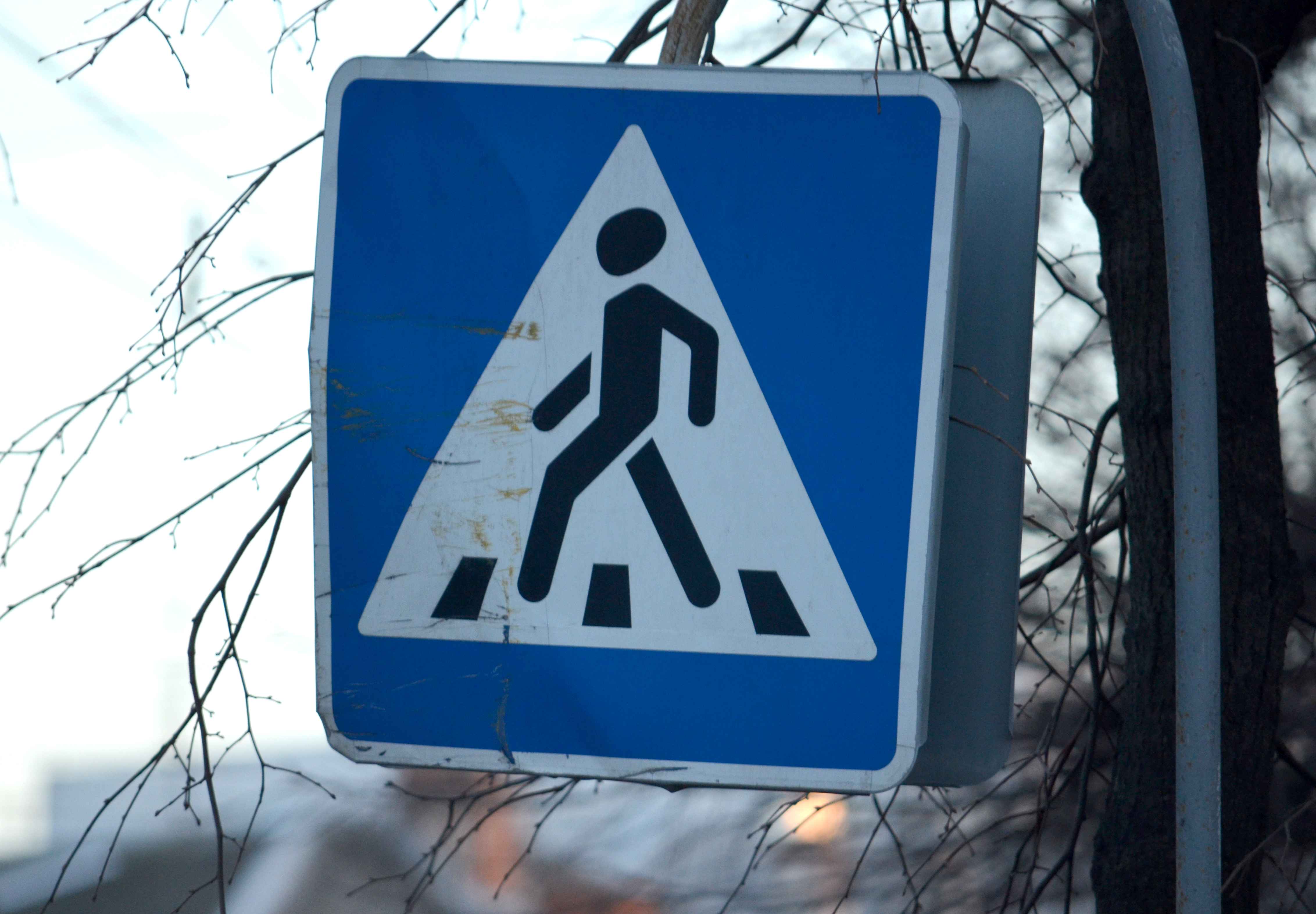 В Рязани ищут очевидцев летального наезда на пешехода