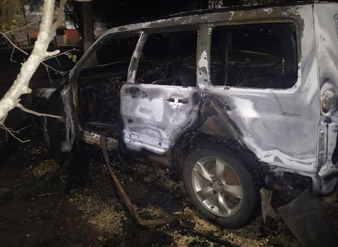 Ночью в Новомичуринске сгорел автомобиль