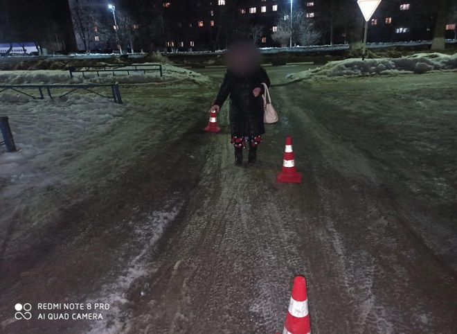 За сутки в Рязанской области сбили двоих пешеходов