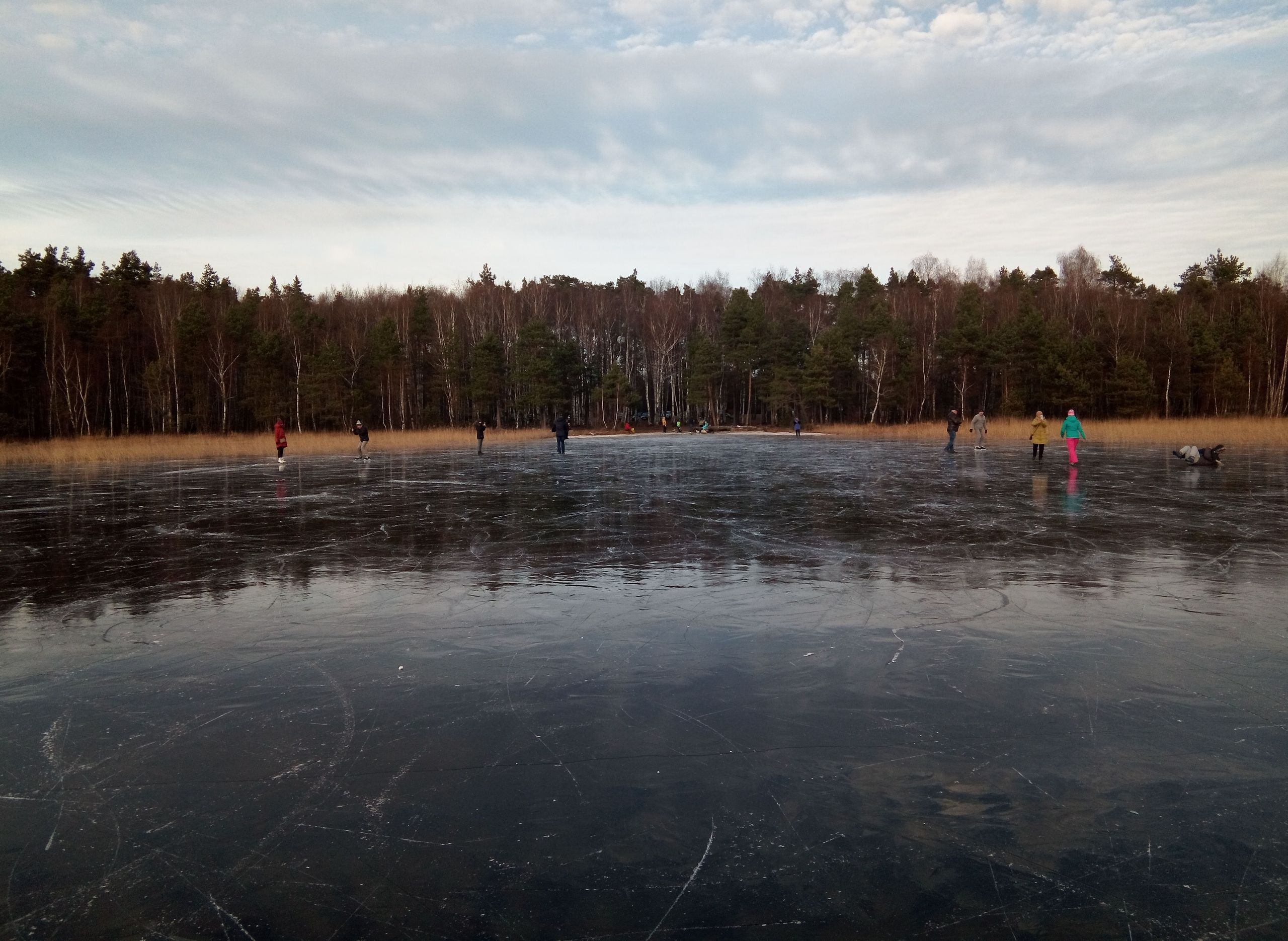 Видео: рязанцы катаются на коньках по замерзшей глади Ласковского озера