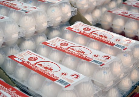 Рязань заняла третье место в ЦФО по производству яиц