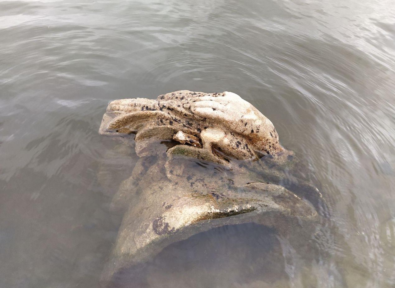 Рязанка обнаружила у пристани в Лесопарке кусок статуи