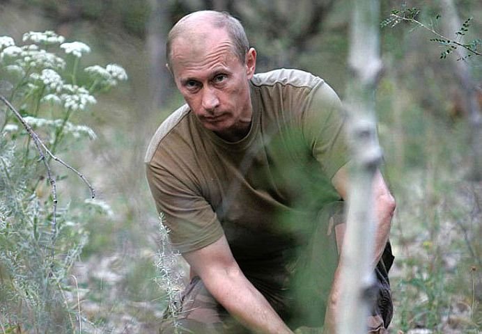 Купленные Путиным деревья посадят в «Мещере» 4 октября