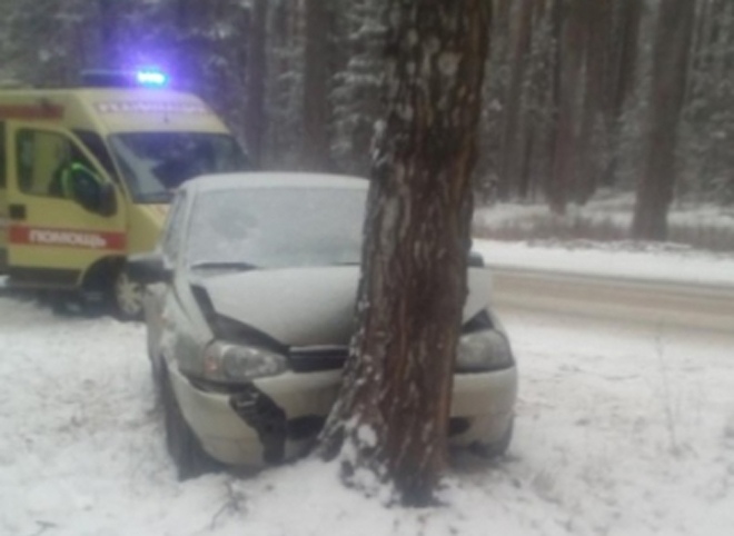 В Солотче автоледи въехала в дерево, пострадали дети