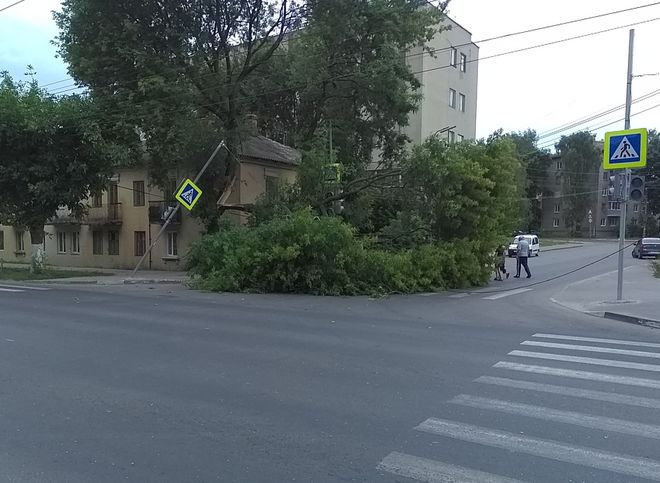 На пересечении улиц Есенина и Садовой упало дерево