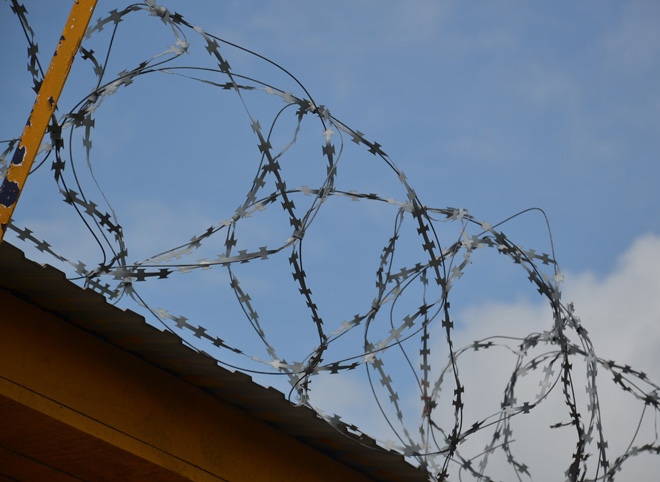 Правозащитники сообщили о голодовке в рязанской колонии