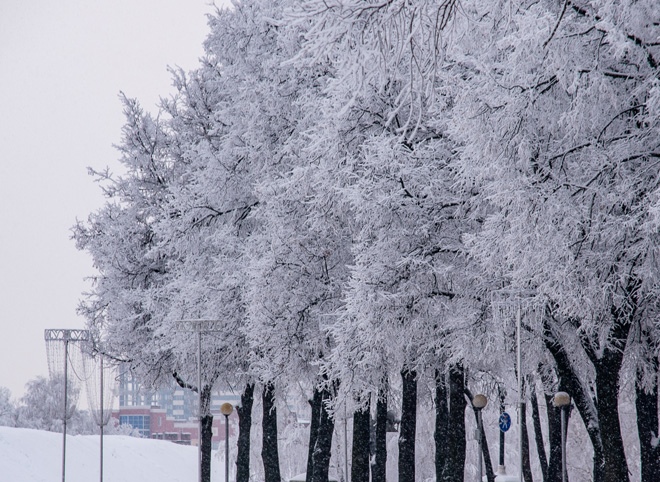 В Рязанской области ожидается резкое похолодание