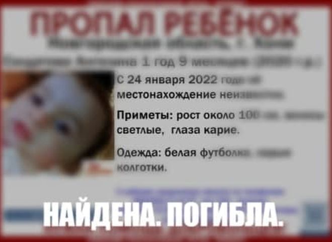 Пропавшая в Новгородской области полуторагодовалая девочка найдена мертвой