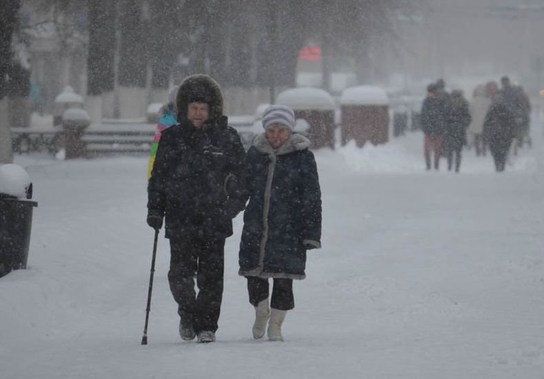 В Рязанской области пройдет снег, ветер усилится до 20 м/с