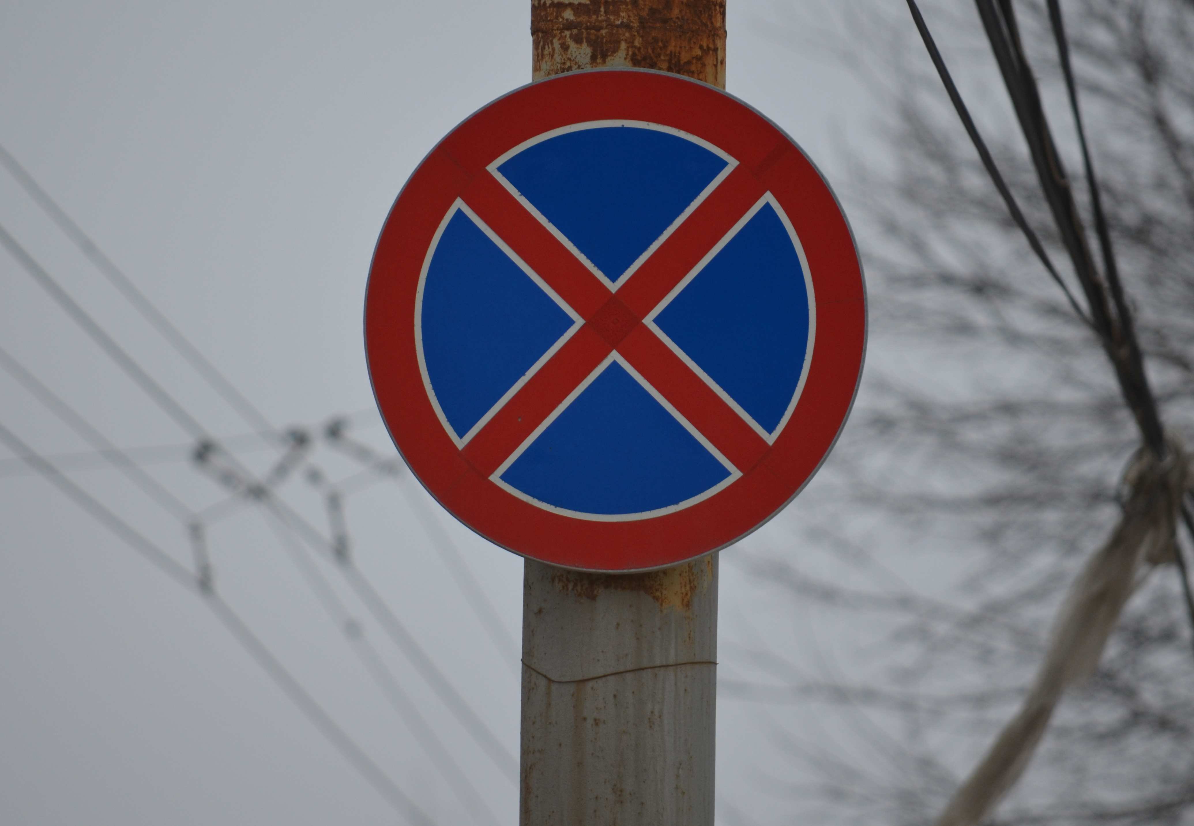 На двух улицах Рязани запретят остановку автомобилей
