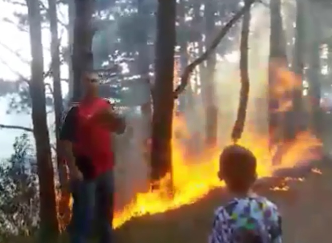 Рязанец стал свидетелем поджога леса в национальном парке на Кавказе