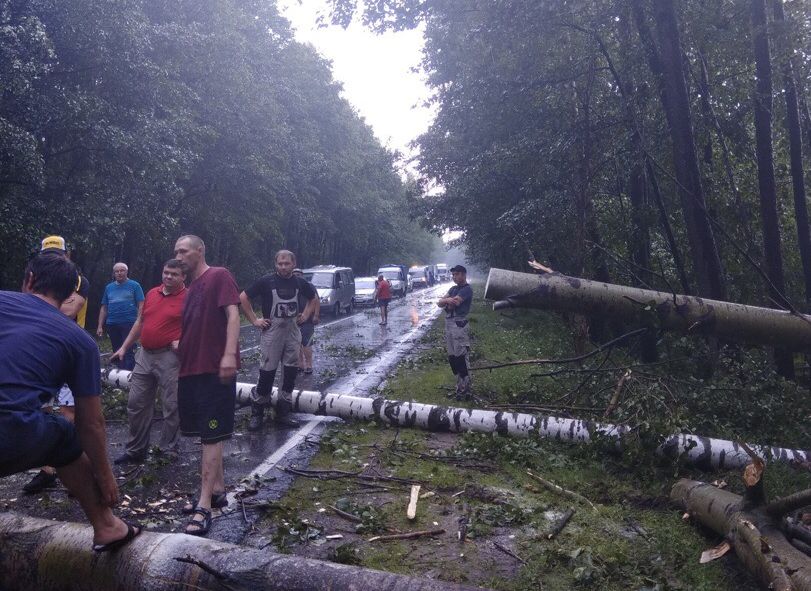 Трассу в Рязанской области перекрыло упавшими деревьями