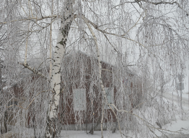 Календарная зима в Рязанской области начнется с 20-градусных морозов