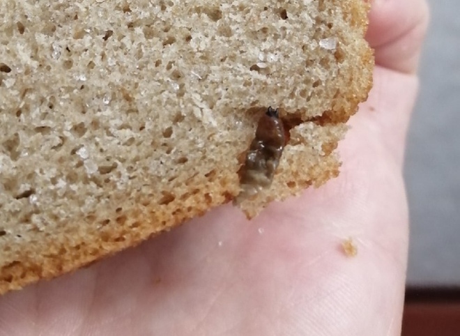 Рязанец обнаружил в хлебе личинку