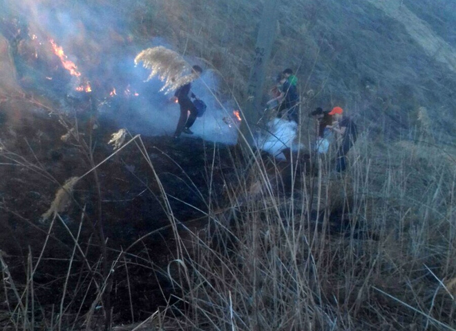 В Канищеве жители ликвидировали возгорание сухостоя (фото)