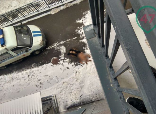 21-летняя рязанка погибла на окраине Санкт-Петербурга