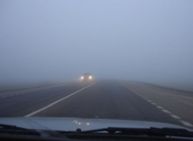 МЧС  предупредило рязанцев о сильном тумане